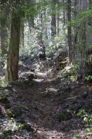 lava rock hiking trail Oregon 866