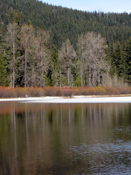 Lost_Lake_Oregon_223.jpg