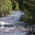 Metolus River Oregon 143