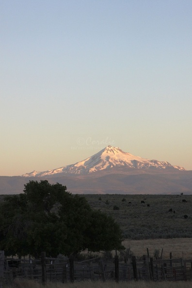 mt_jefferson_at_the_old_corral_at_sunrise_020_Sample_File.jpg