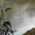 Sahalie Falls Oregon 123