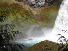 Sahalie Falls Oregon 138