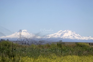 Sisters Mountains Oregon 045