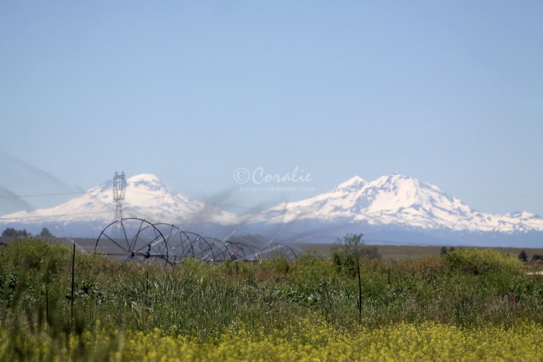 Sisters_Mountains_Oregon_045.jpg