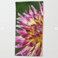 flashy dahlia flower Beach Towel
