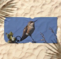 Hummingbird Beach Towel2
