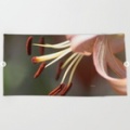 Micro of a Lily Flower in Bloom Beach Towel