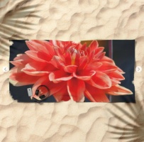 portrait of a dahlia bloom Beach Towel 2