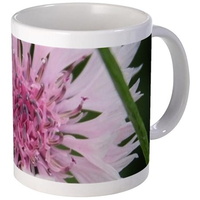 1506128119bachelor button corn flower mugs