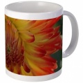 1506143740fire in the sky dahlia flower 096 mugs