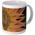 1506143359chrysanthemum flower mugs