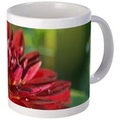 1506144769arabian night dahlia flower bloom 061 mugs