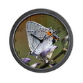 gray hairstreak butterfly wall clock