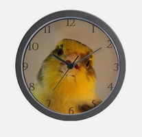 singing canary wall clock
