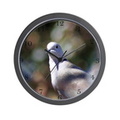 1506126127portrait of a dove wall clock