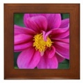 dahlia flower bloom framed tile