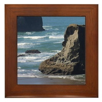 pacific-ocean-beach-scene-framed tile