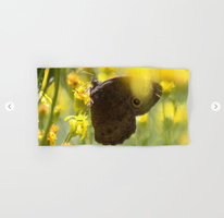 Colorful Common Wood-nymph Butterfly Hand &amp; Bath Towel