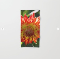 Fire In The Sky dahlia flower 096 Hand &amp; Bath Towel