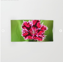 Flashy Dianthus Flower Hand &amp; Bath Towel