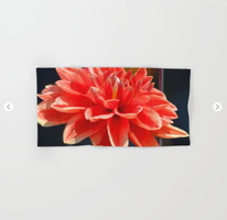portrait of a dahlia bloom Hand &amp; Bath Towel