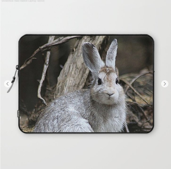 Snowshoe Hare Rabbit Laptop Sleeve.jpg