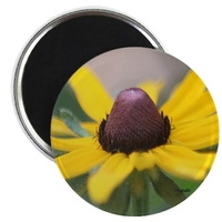 black eyed susan flower magnets2