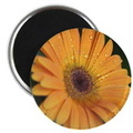 chrysanthemum flower magnets2