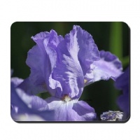 bearded iris flower mousepad
