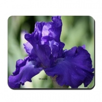 bearded iris flower mousepad2