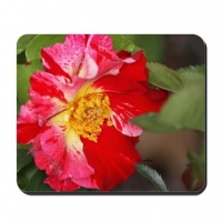 beautiful rose flower mousepad