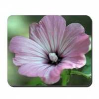 bloom of a flower in the garden mousepad