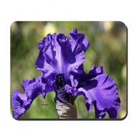 blue bearded iris flower mousepad