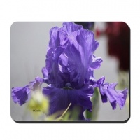blue bearded iris flower mousepad2