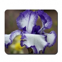 blue white bearded iris flower mousepad