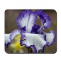 blue_white_bearded_iris_flower_mousepad.jpg