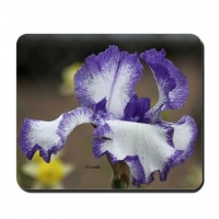 blue white bearded iris flower mousepad 2