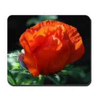 bright orange poppy flower bud mousepad