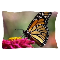 monarch butterfly pillow case