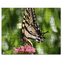 colorful yellow swallowtail butterfly puzzle