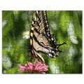 colorful_yellow_swallowtail_butterfly_puzzle.jpg
