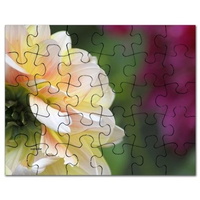 dahlia bloom puzzle