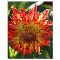 dahlia flower puzzle