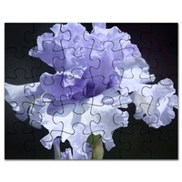 iris bloom puzzle