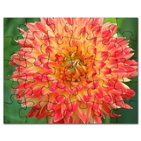 procyon dahlia flower bloom 087 puzzle