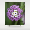 alyssum flower bloom Shower Curtain