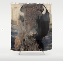 Bison Of The West Shower Curtain