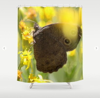 Colorful Common Wood-nymph Butterfly Shower Curtain