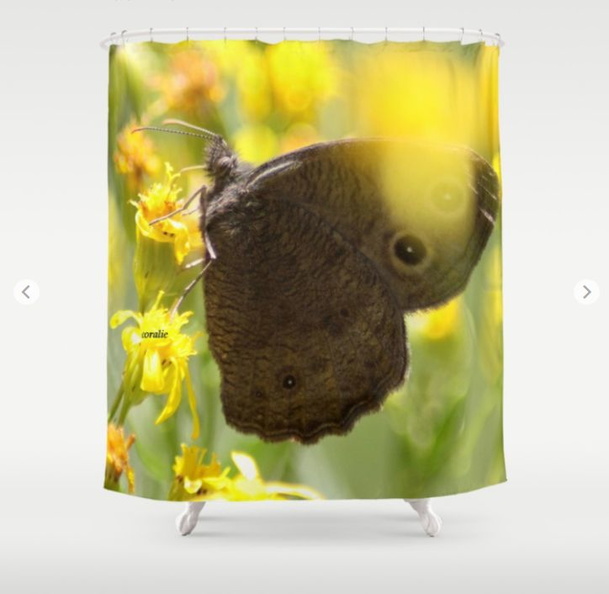 Colorful Common Wood-nymph Butterfly Shower Curtain.jpg