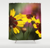 Colorful Daisy Flowers Shower Curtain